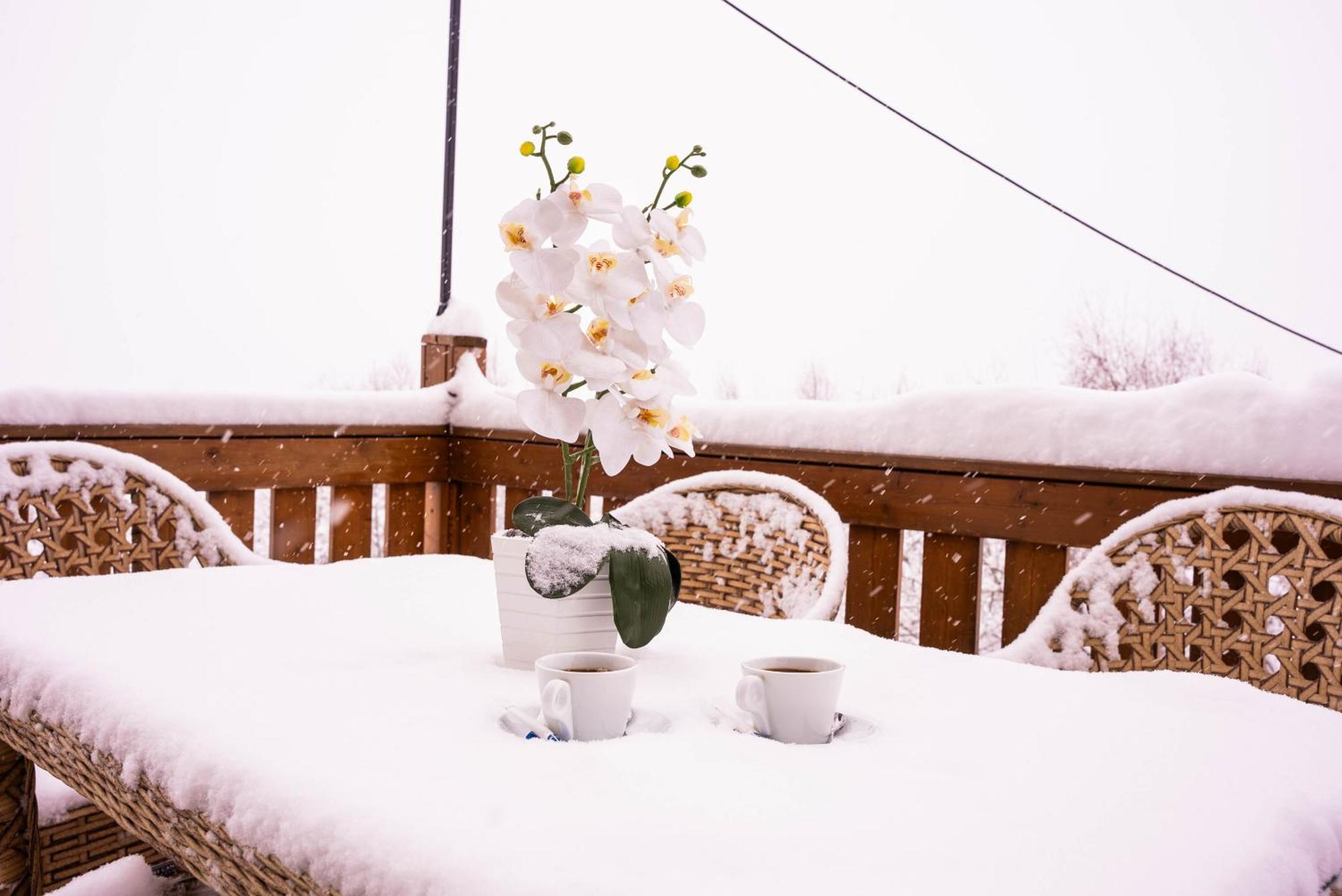 Gudauri Inn المظهر الخارجي الصورة Snow in Jerusalem